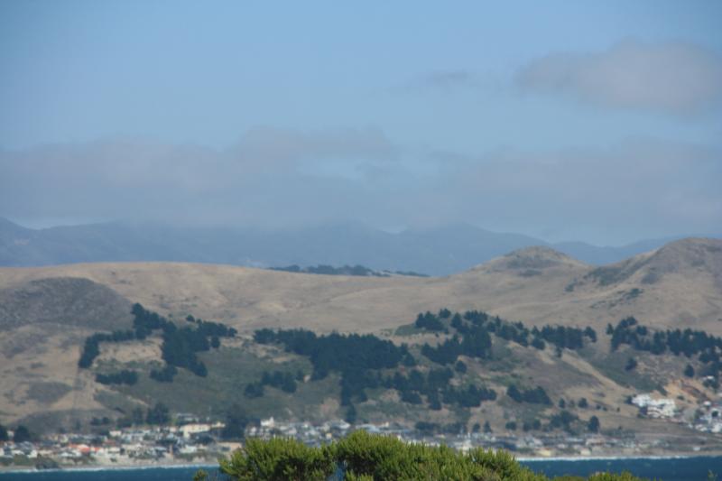 IMG_3847.JPG