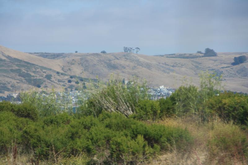 IMG_3850.JPG