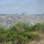 IMG_3850.JPG