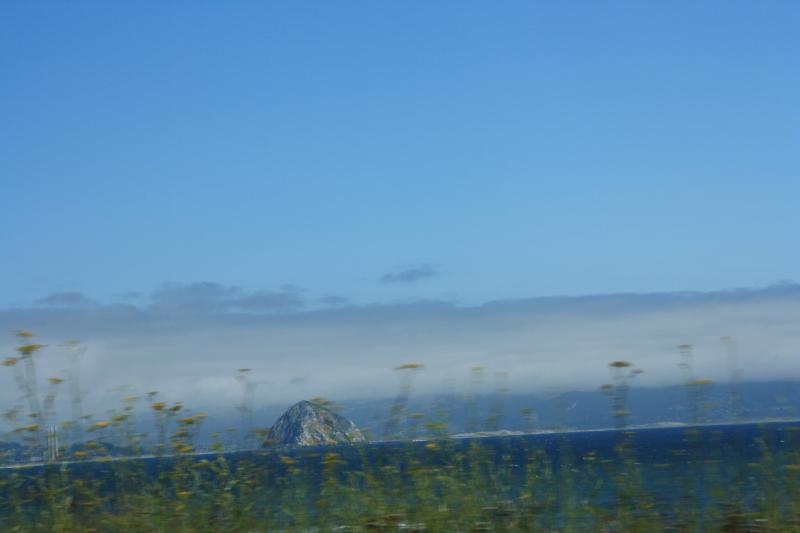 IMG_3851.JPG