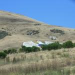 IMG_3872.JPG