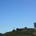 IMG_3875.JPG
