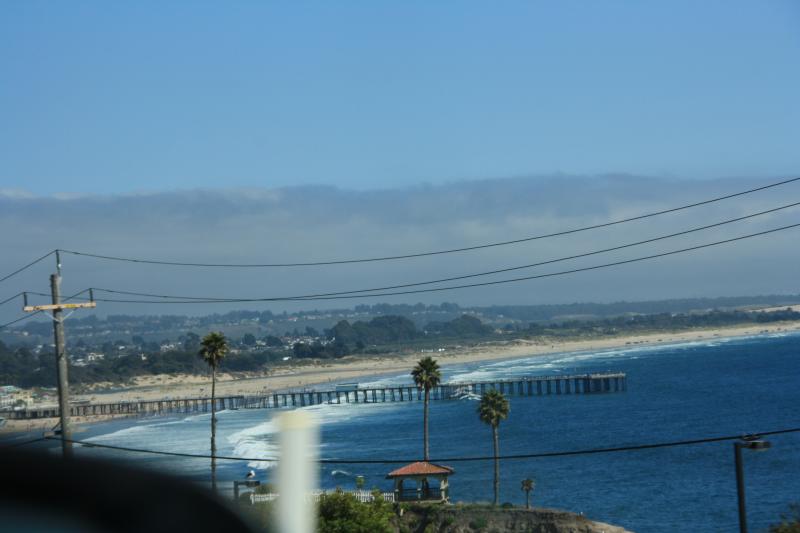 IMG_3884.JPG