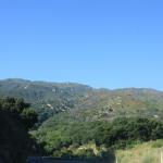 IMG_3889.JPG
