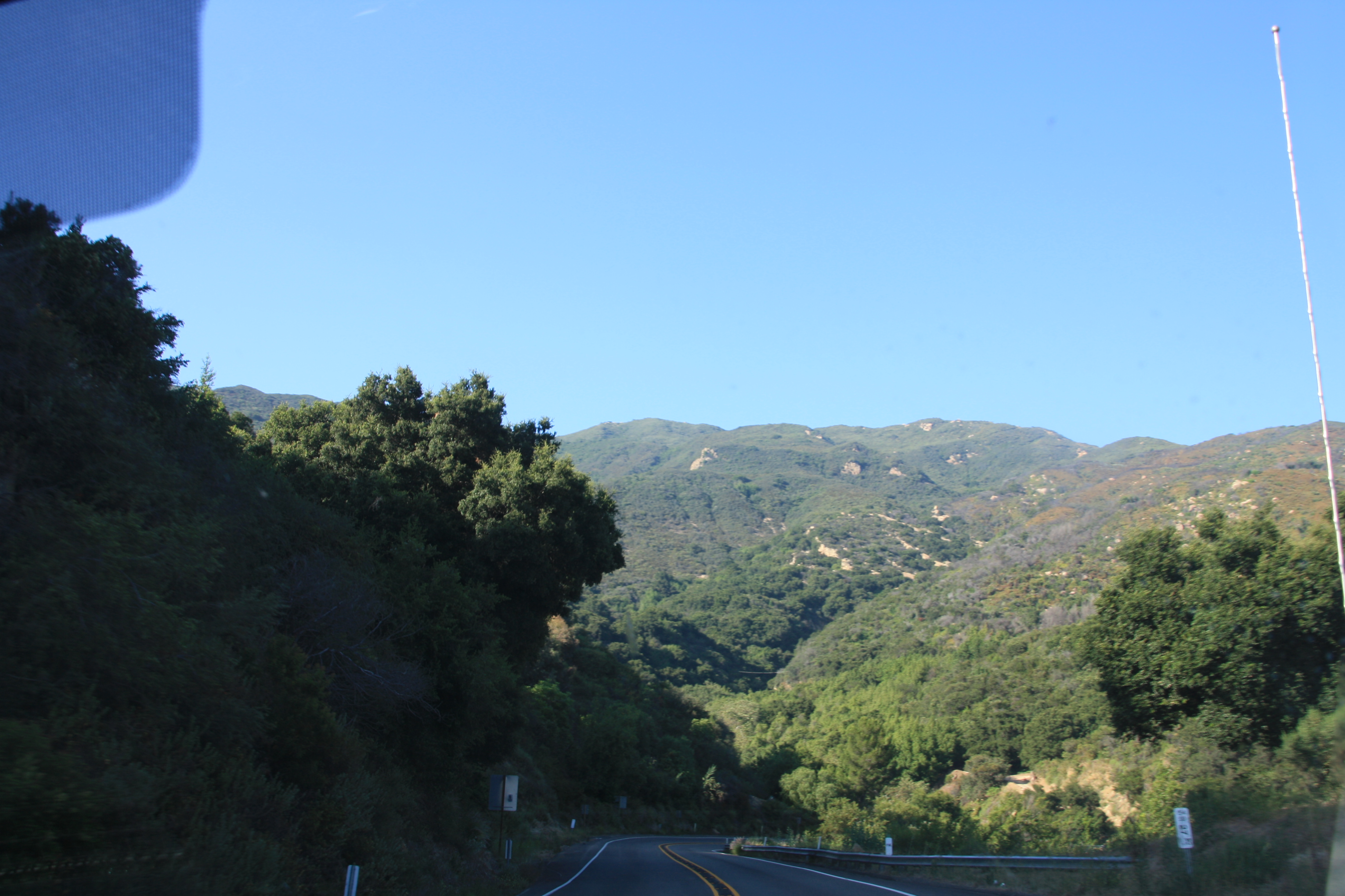 IMG_3890.JPG
