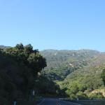 IMG_3890.JPG