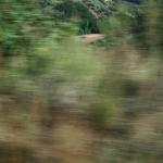 IMG_3900.JPG