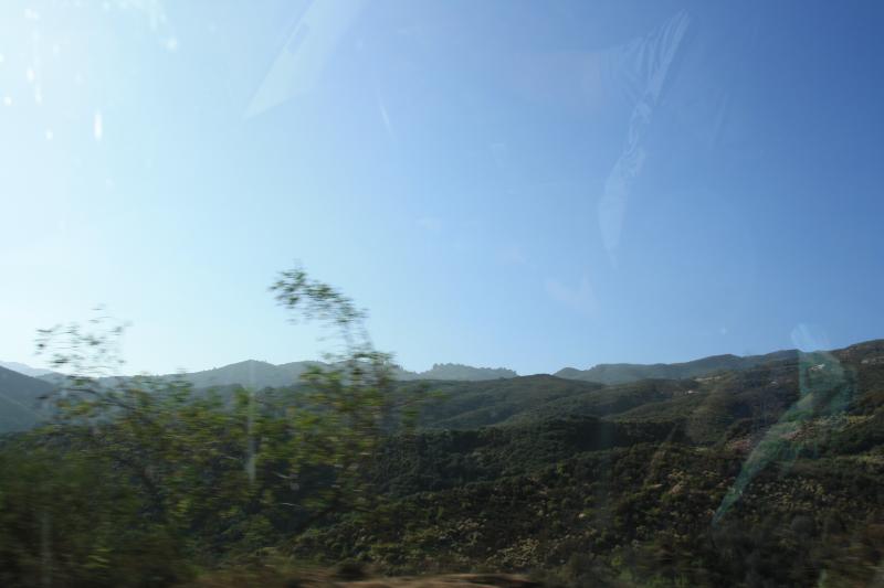 IMG_3902.JPG