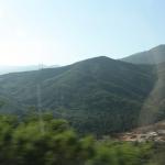 IMG_3904.JPG