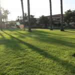 IMG_3925.JPG