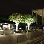 IMG_4485.JPG