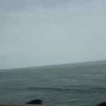 IMG_4032.JPG