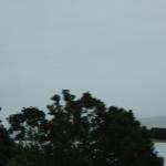 IMG_4036.JPG
