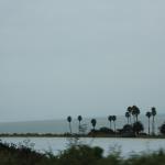 IMG_4037.JPG