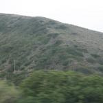 IMG_4038.JPG
