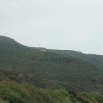 IMG_4039.JPG
