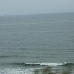 IMG_4043.JPG