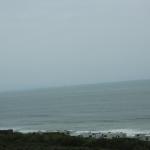 IMG_4045.JPG