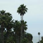 IMG_4047.JPG