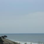 IMG_4053.JPG