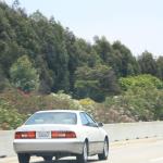 IMG_4061.JPG