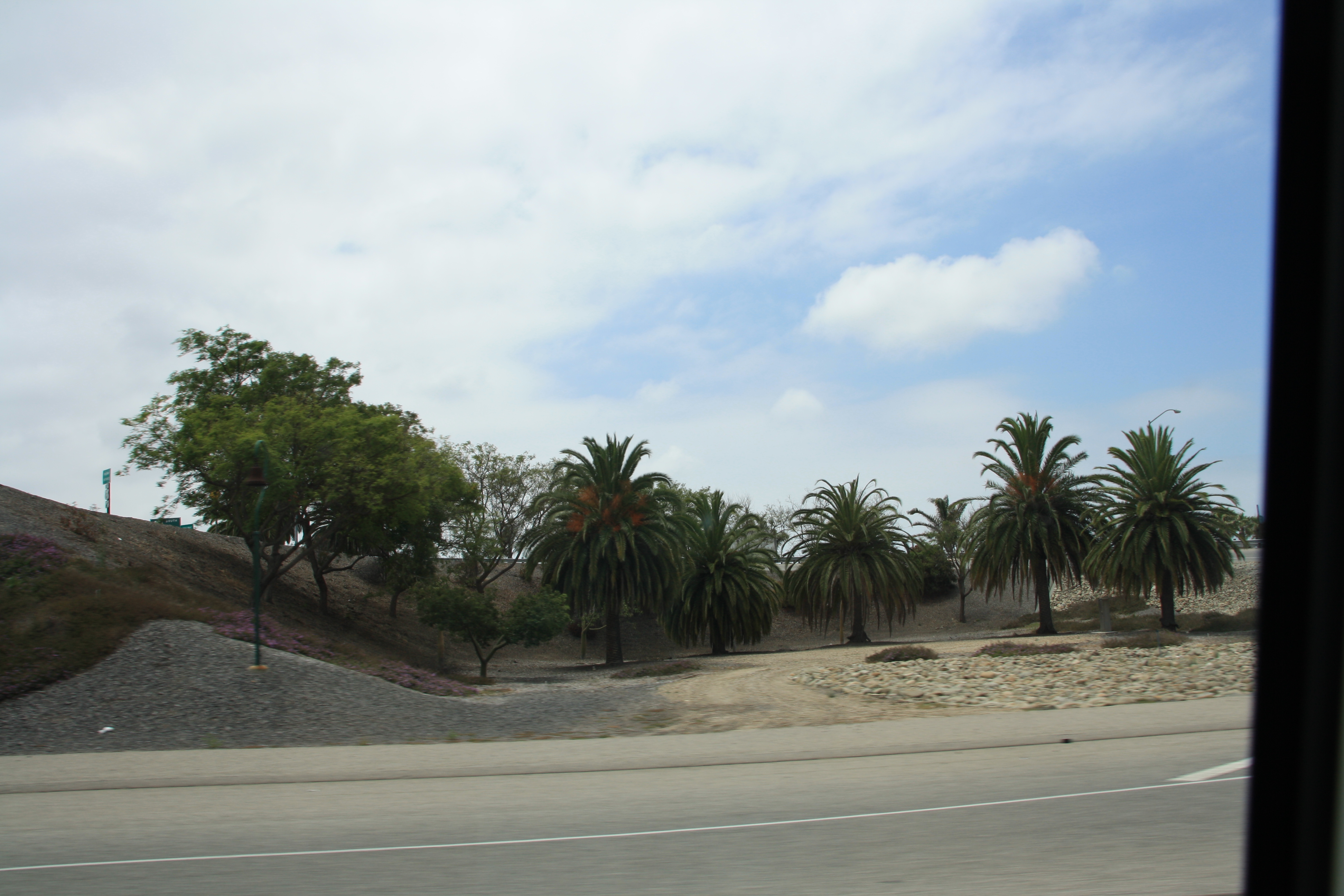 IMG_4063.JPG