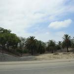 IMG_4063.JPG