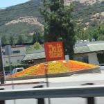 IMG_4073.JPG