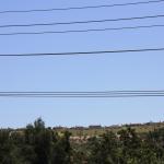 IMG_4080.JPG