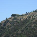 IMG_4091.JPG