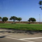 IMG_4115.JPG