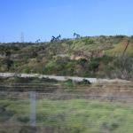 IMG_4145.JPG