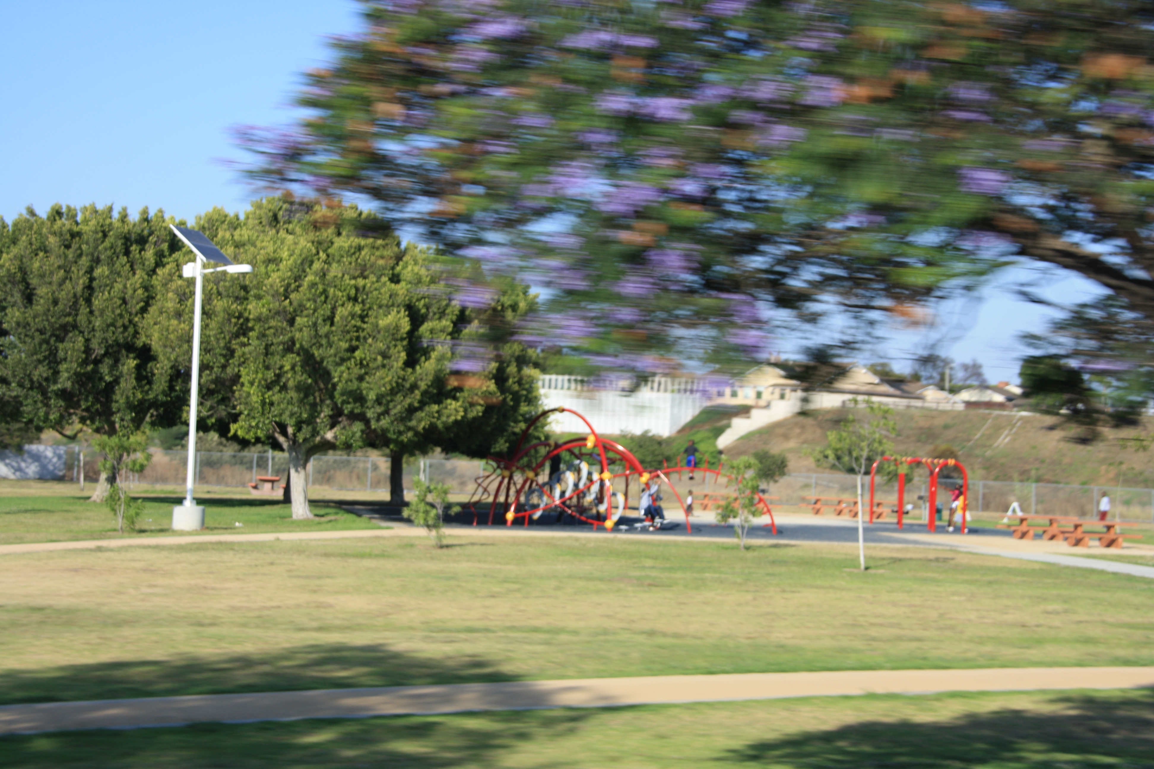 IMG_4154.JPG