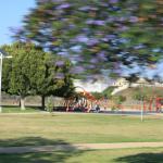 IMG_4154.JPG