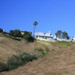 IMG_4156.JPG
