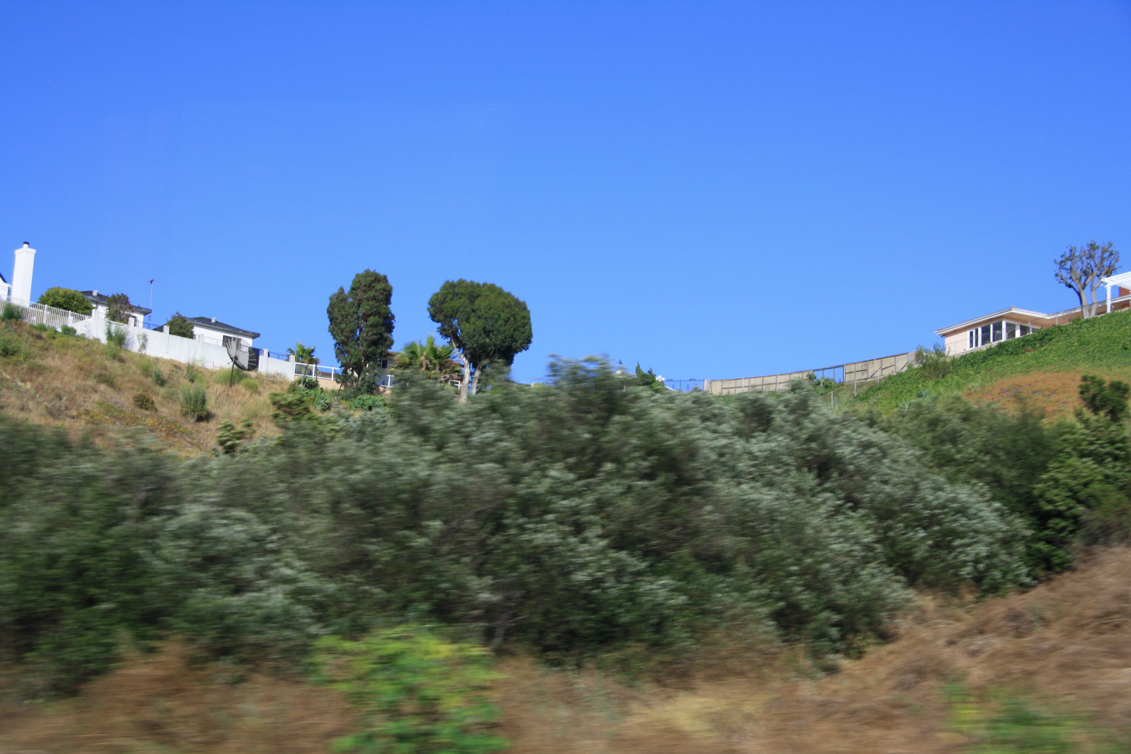 IMG_4157.JPG