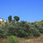 IMG_4157.JPG