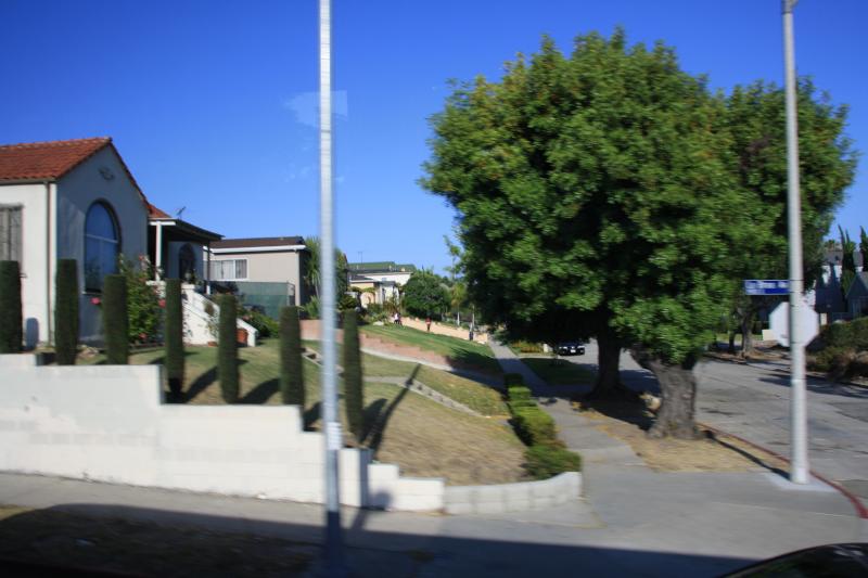 IMG_4163.JPG