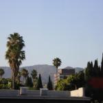 IMG_4182.JPG