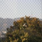 IMG_4196.JPG