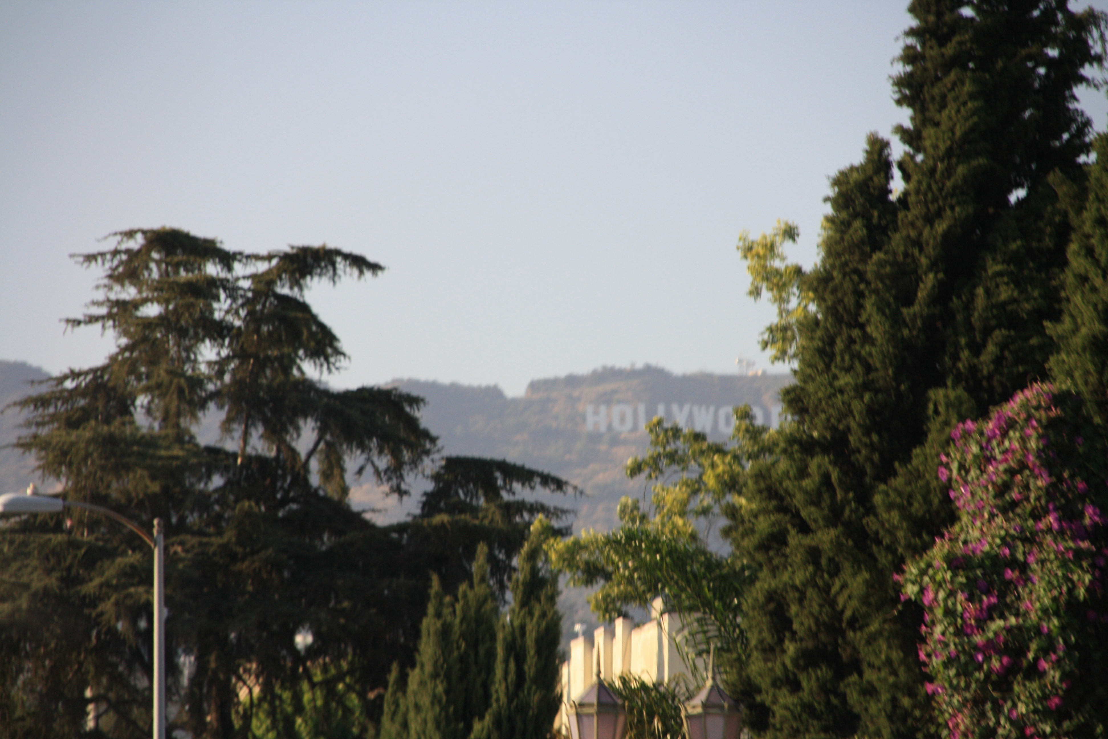 IMG_4200.JPG