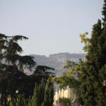 IMG_4200.JPG