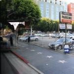 IMG_4214.JPG