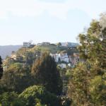 IMG_4225.JPG