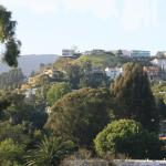IMG_4228.JPG