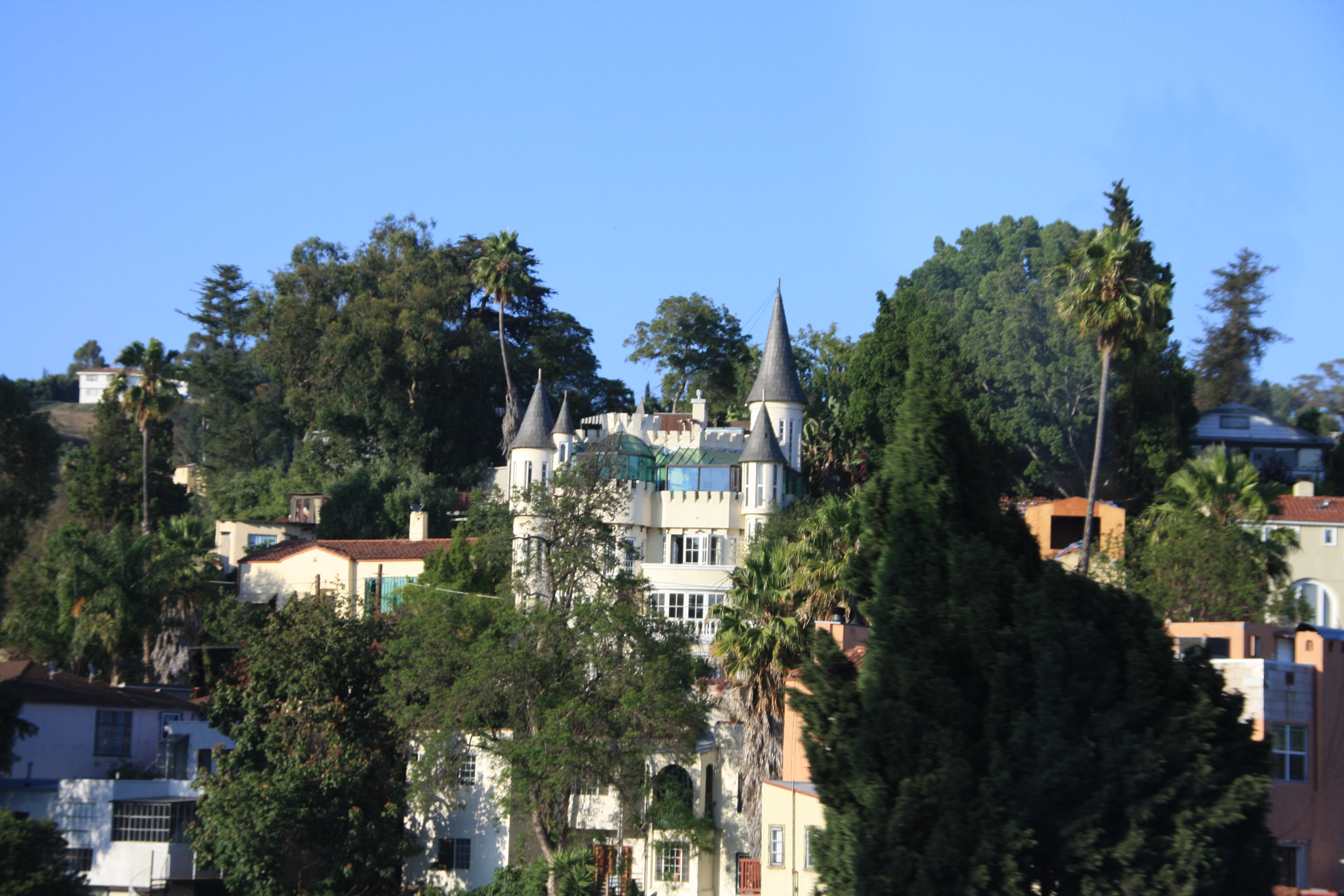 IMG_4229.JPG