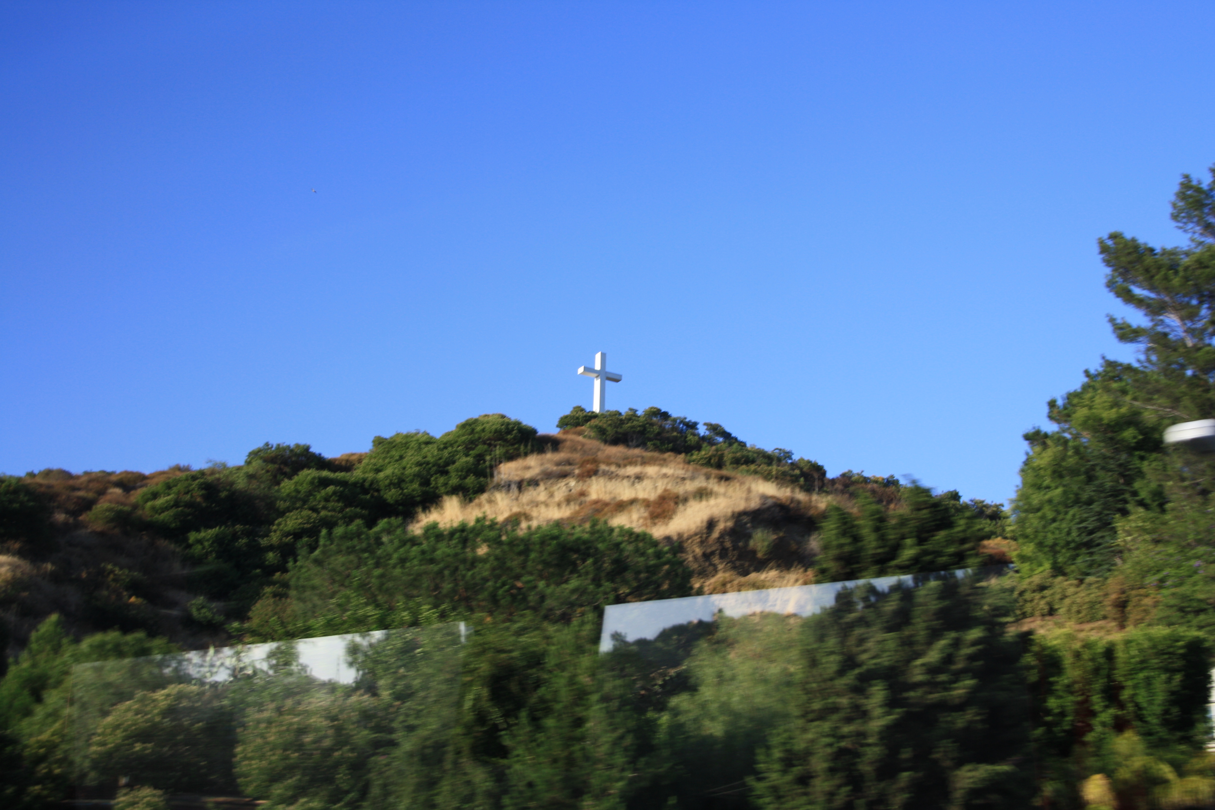 IMG_4233.JPG