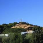 IMG_4233.JPG