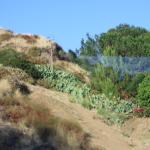 IMG_4234.JPG