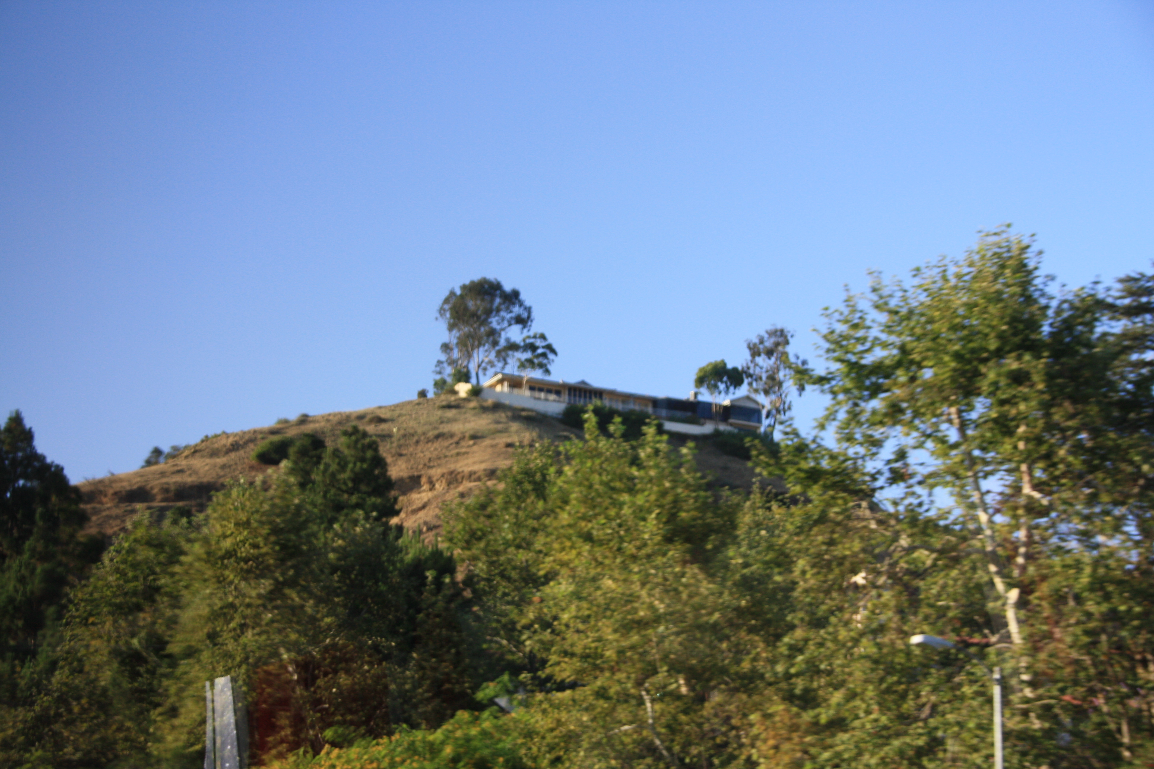 IMG_4236.JPG